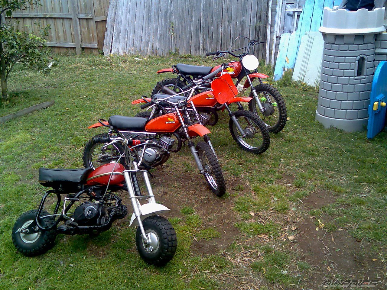 Photo 1055139