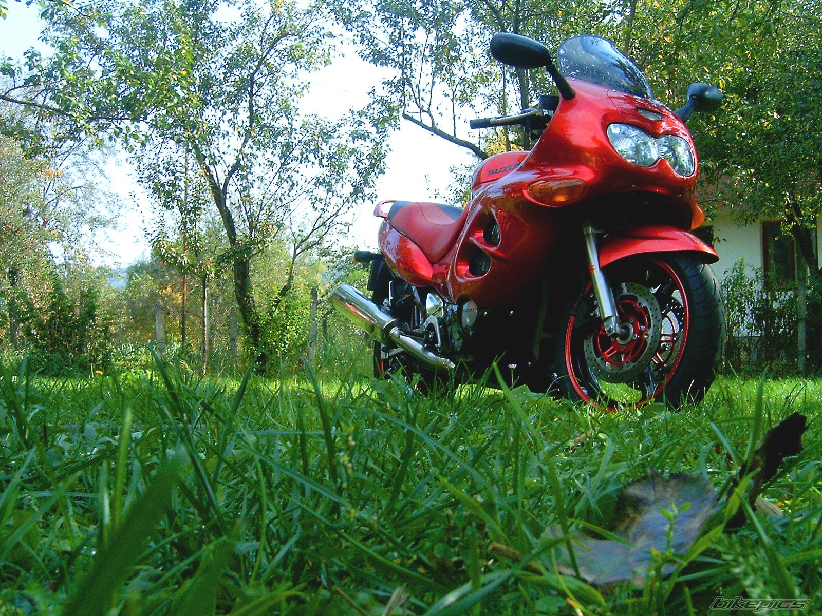 Bike Photo 1055146