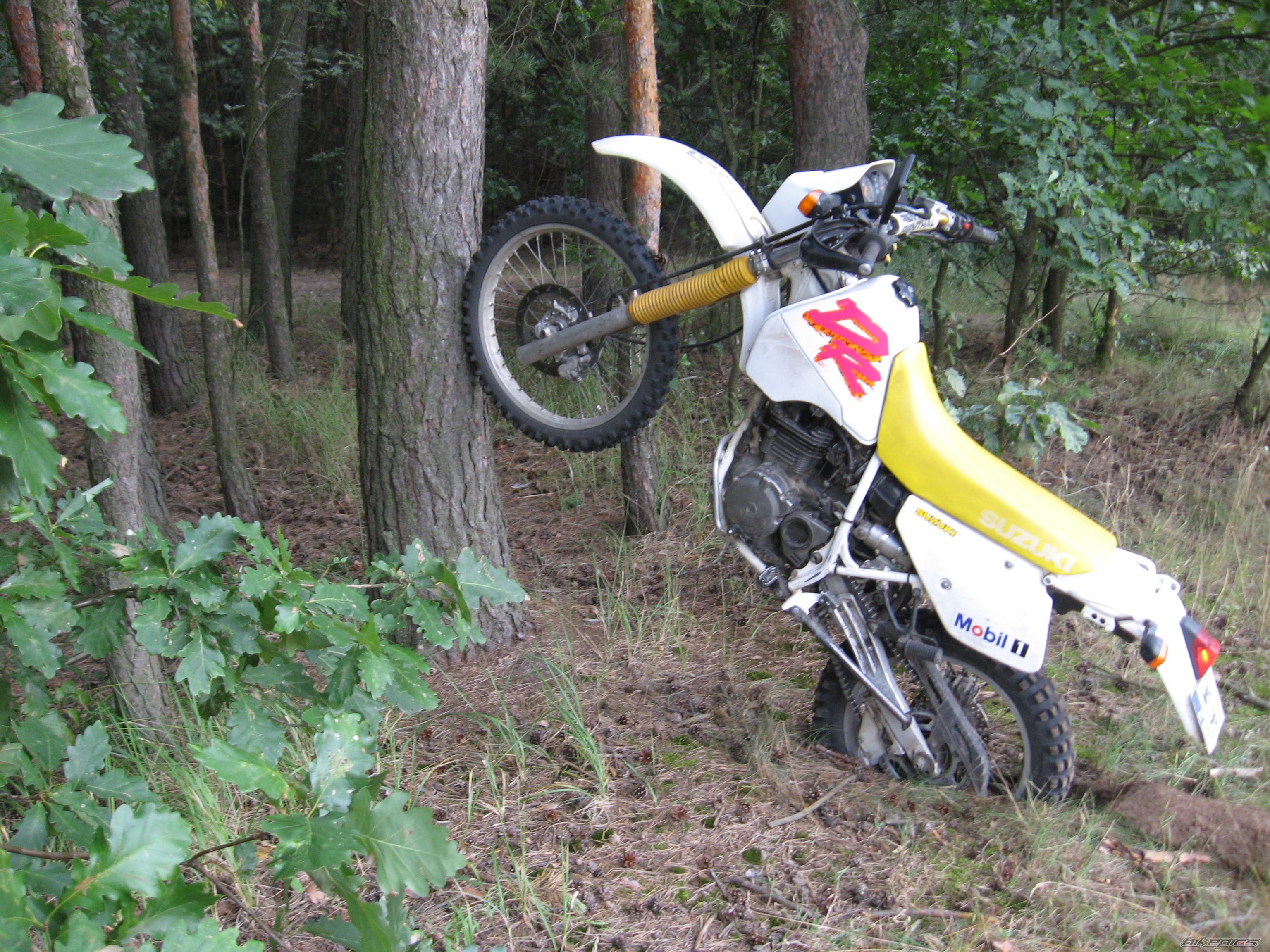 Bike Photo 1055423