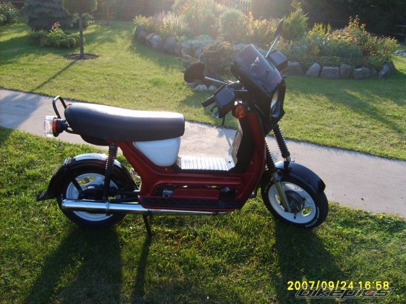 Photo 1055484