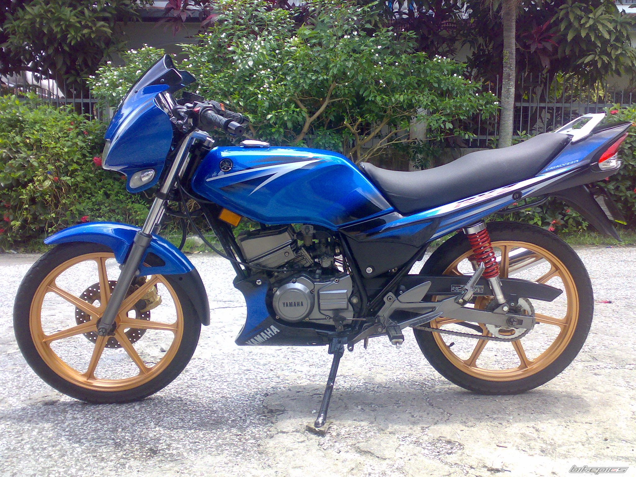 Photo 1055489