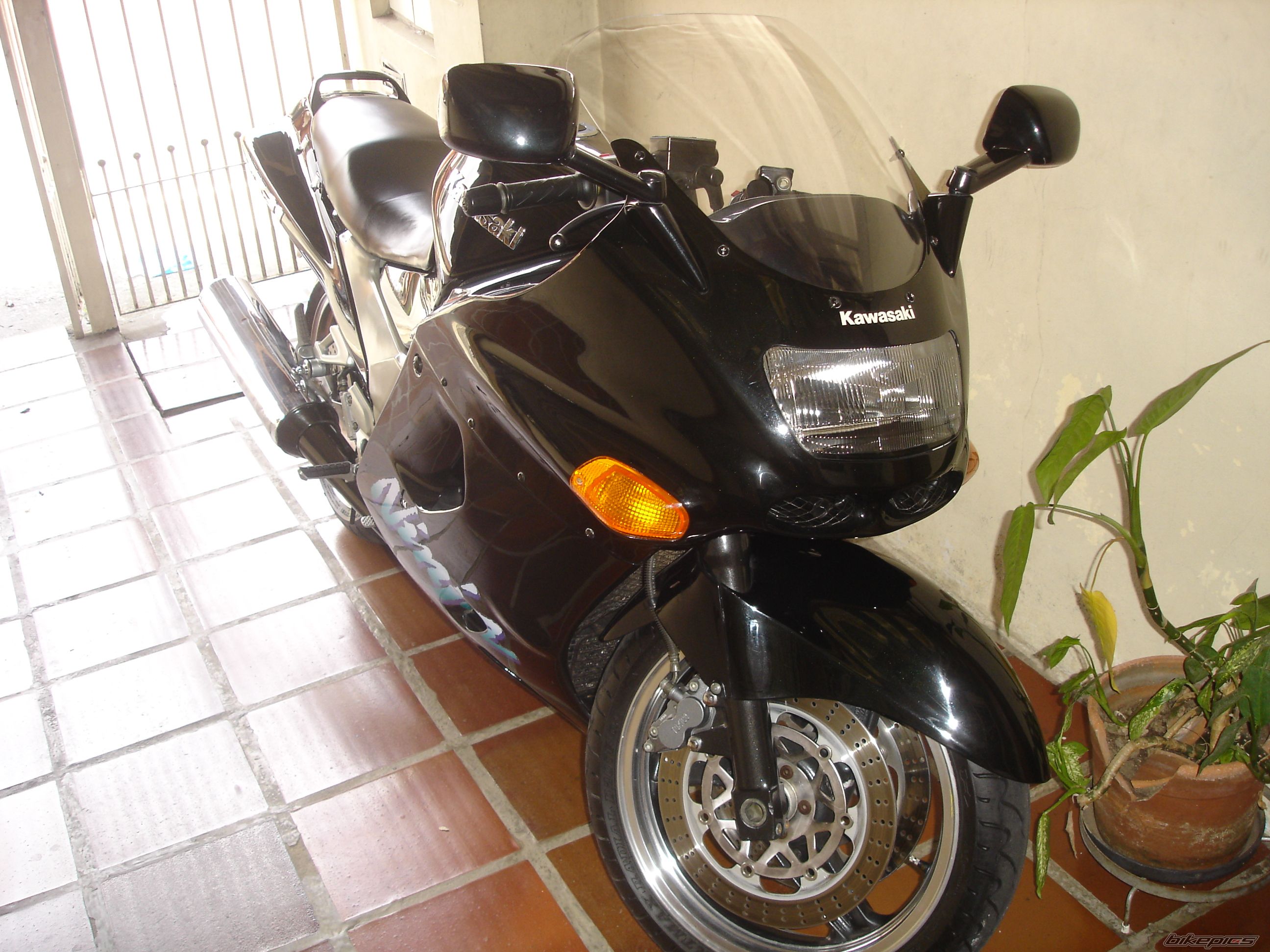 Photo 1055812