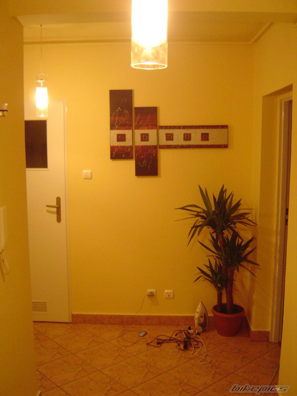 Photo 1055823