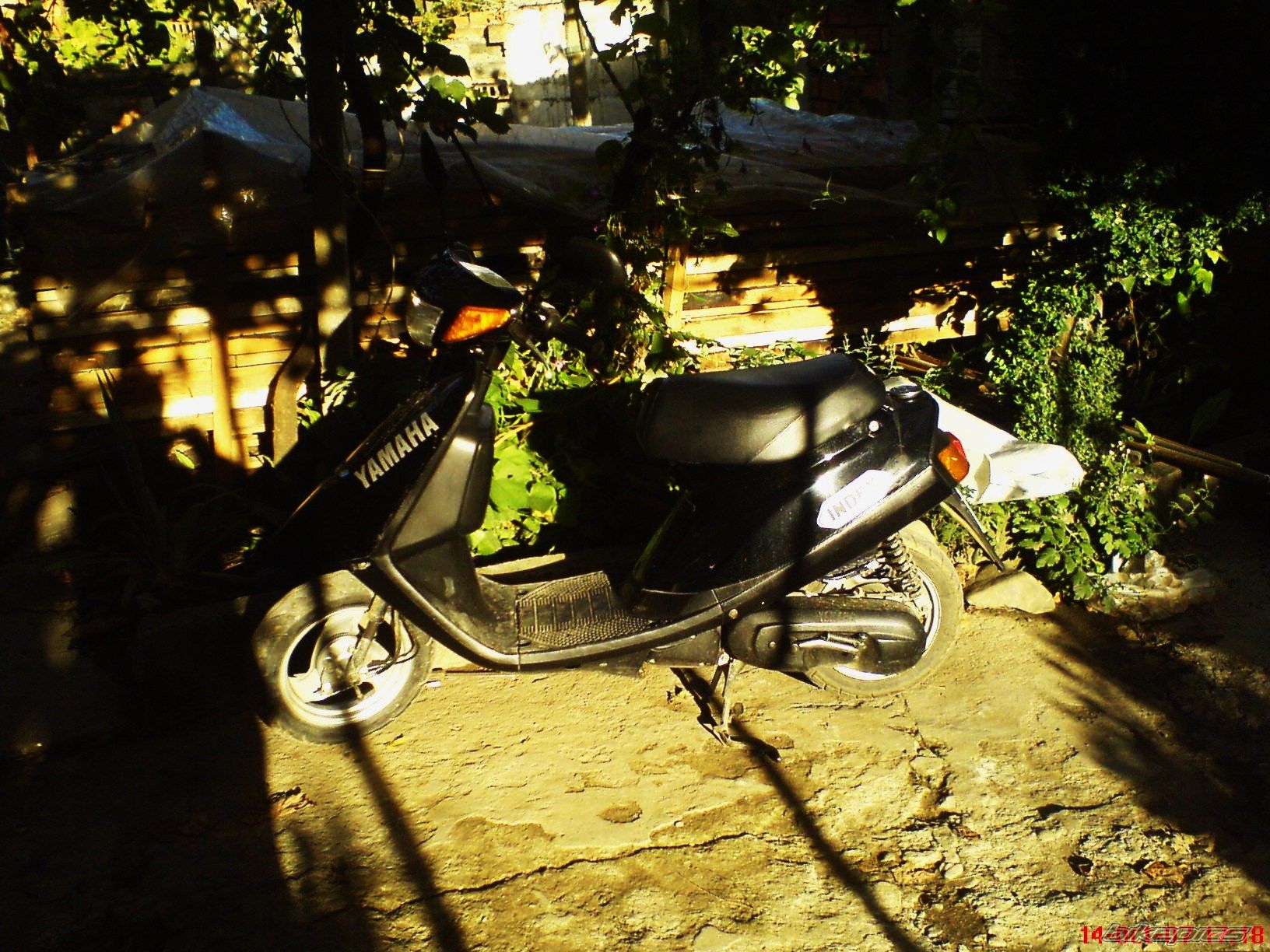 Photo 1055903
