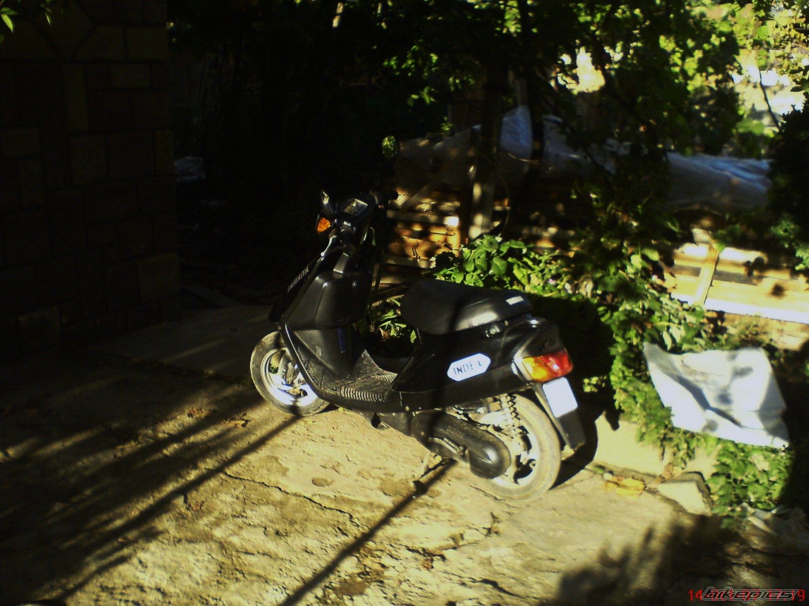 Photo 1055913