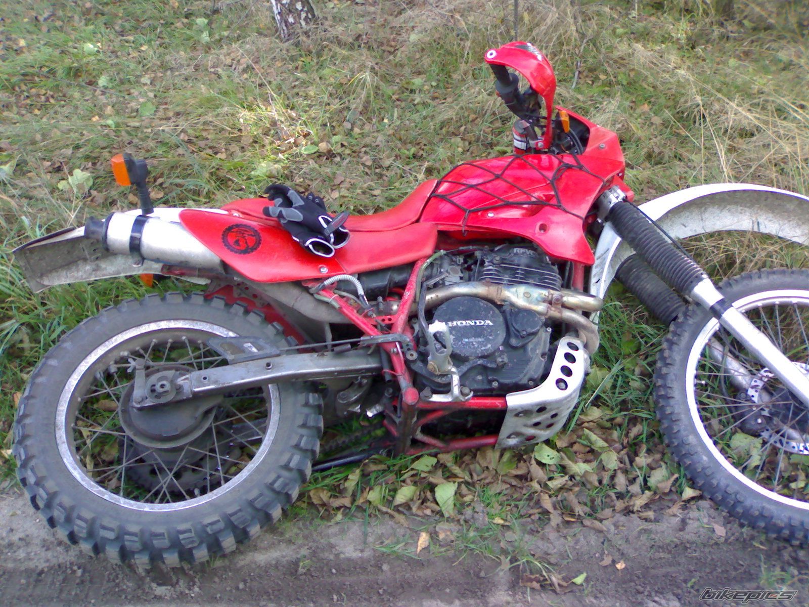 Photo 1055971