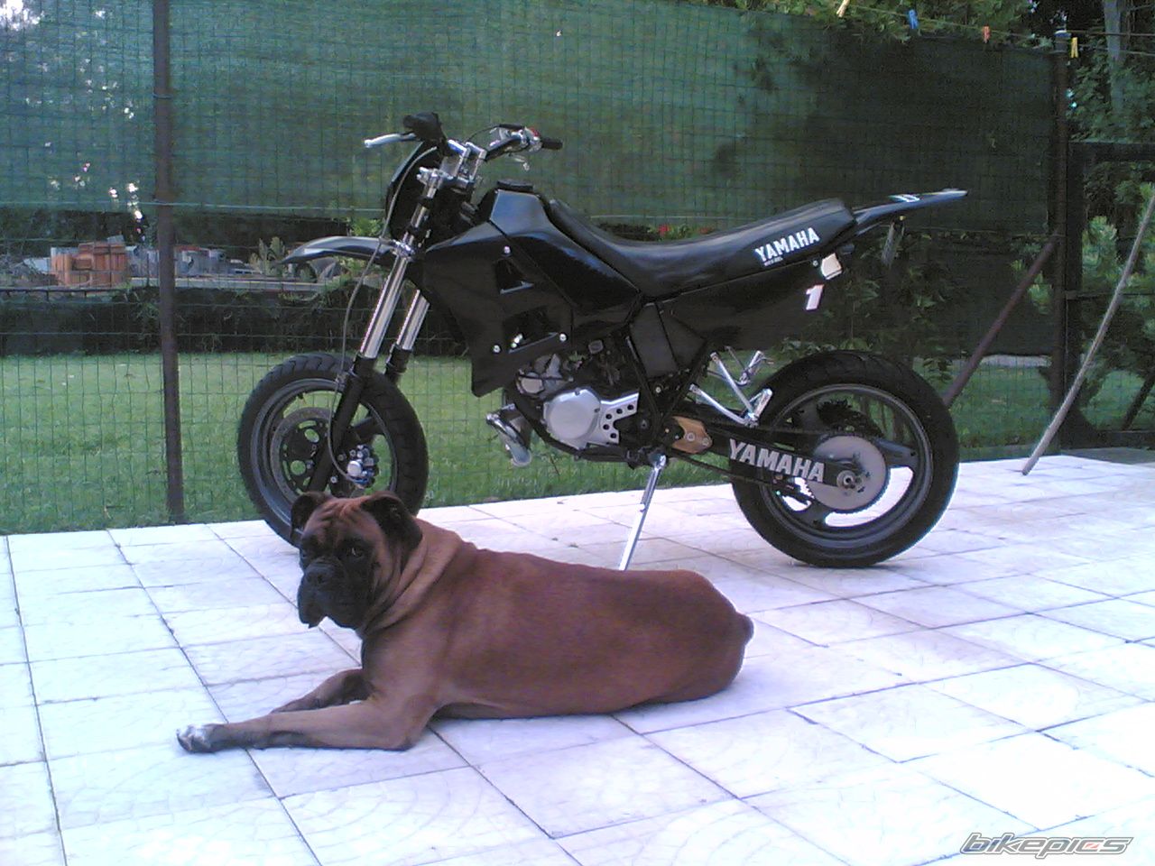 Bike Photo 1056129