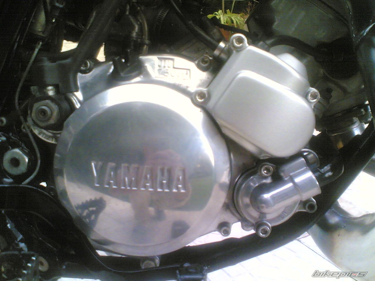 Bike Photo 1056134