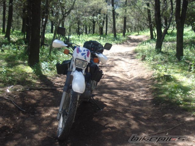 Photo 1056309