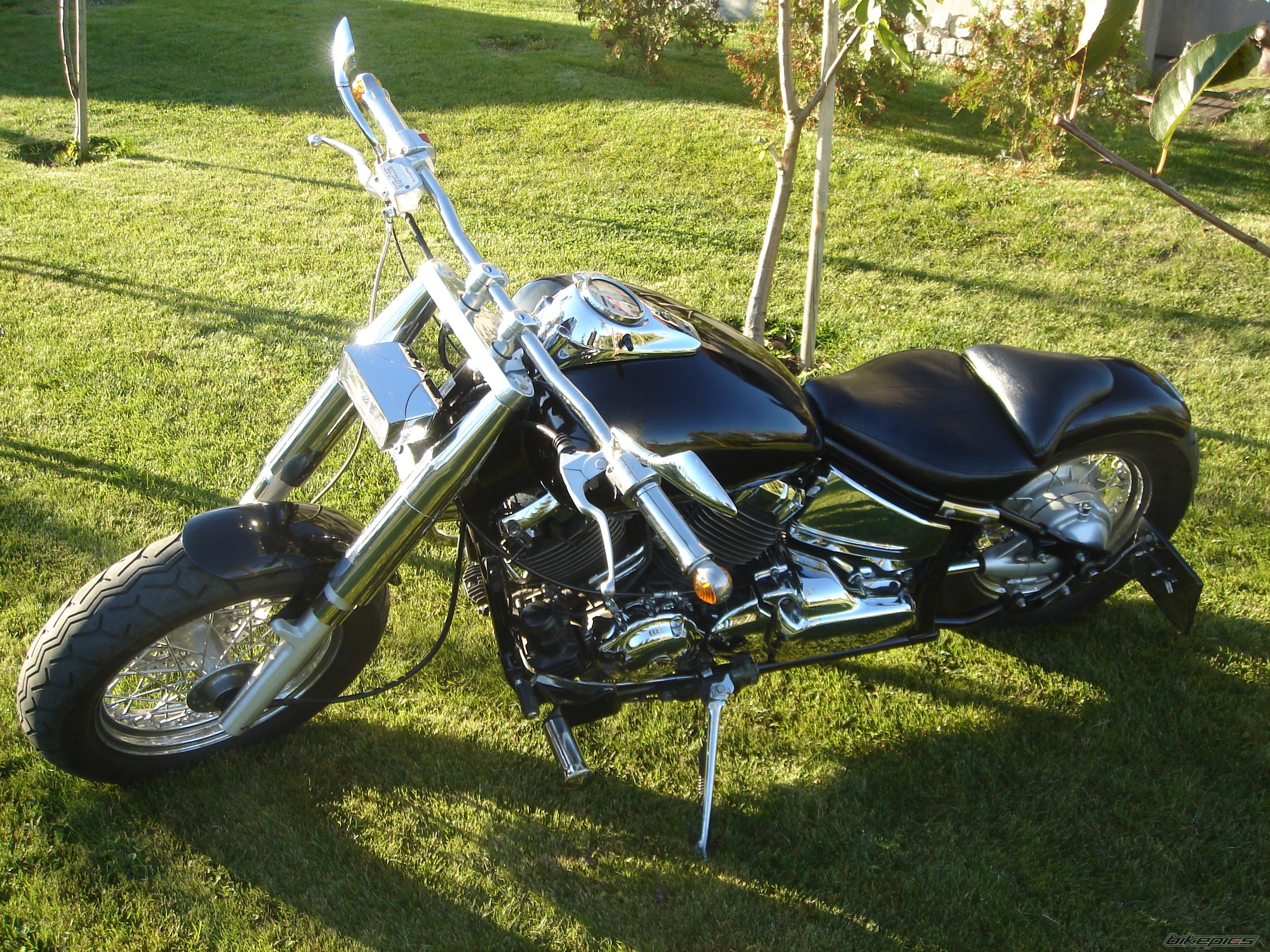 Bike Photo 1056369