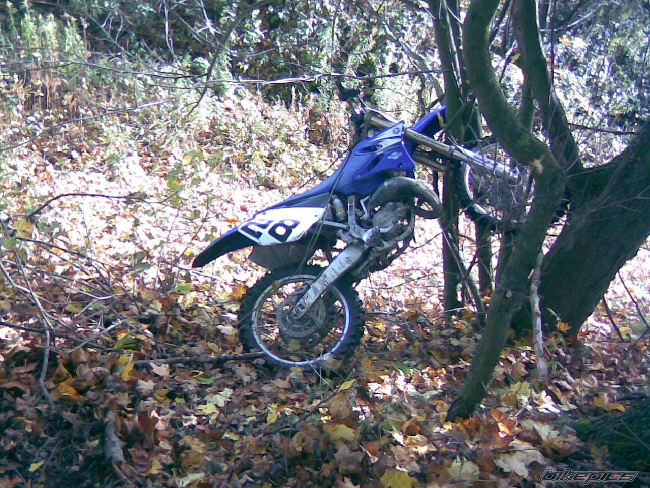 Bike Photo 1056371