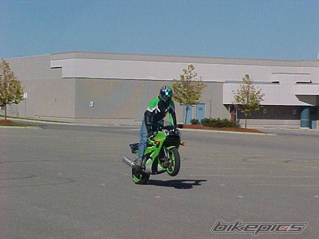 Photo 10565