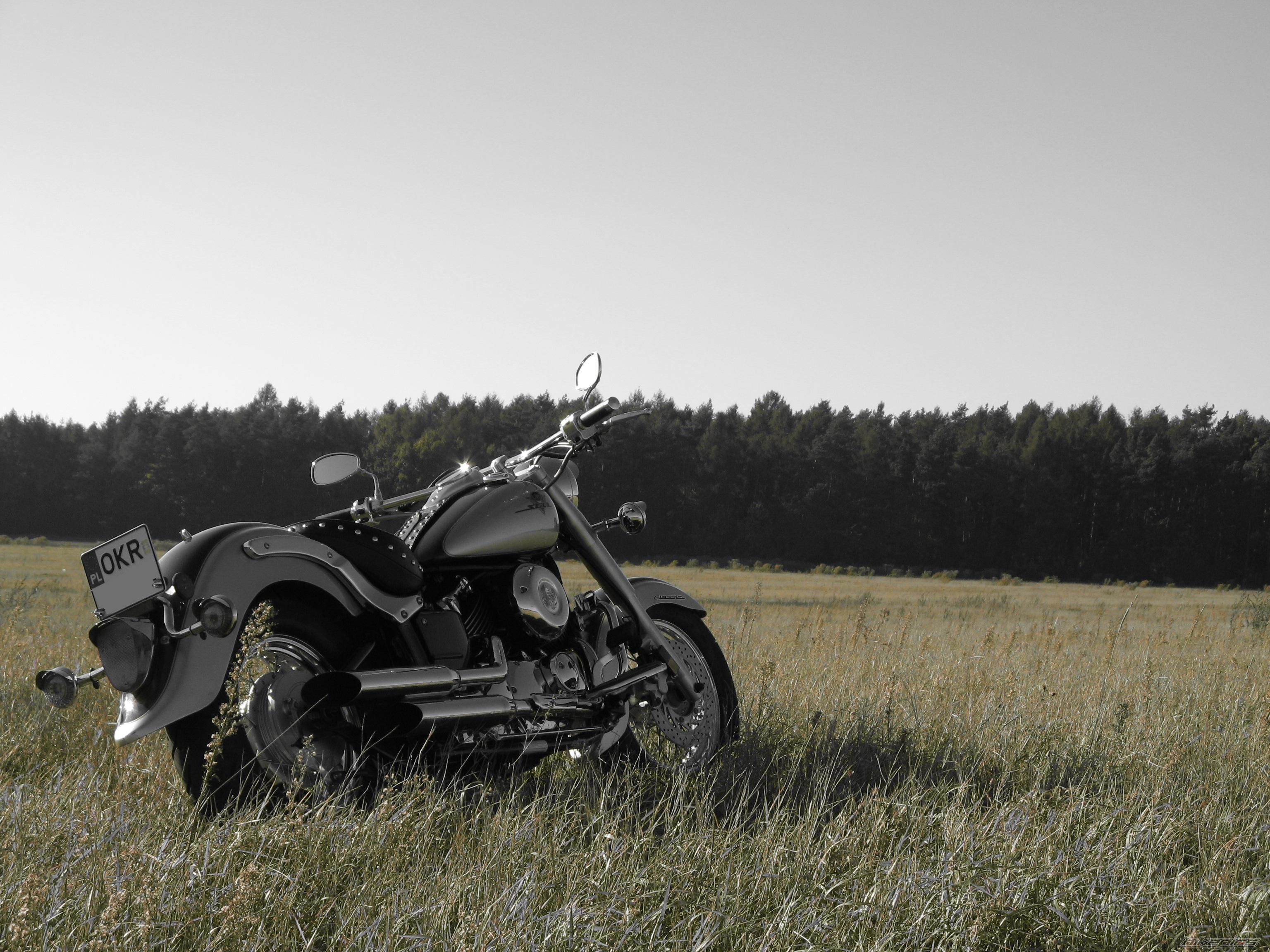Bike Photo 1056577