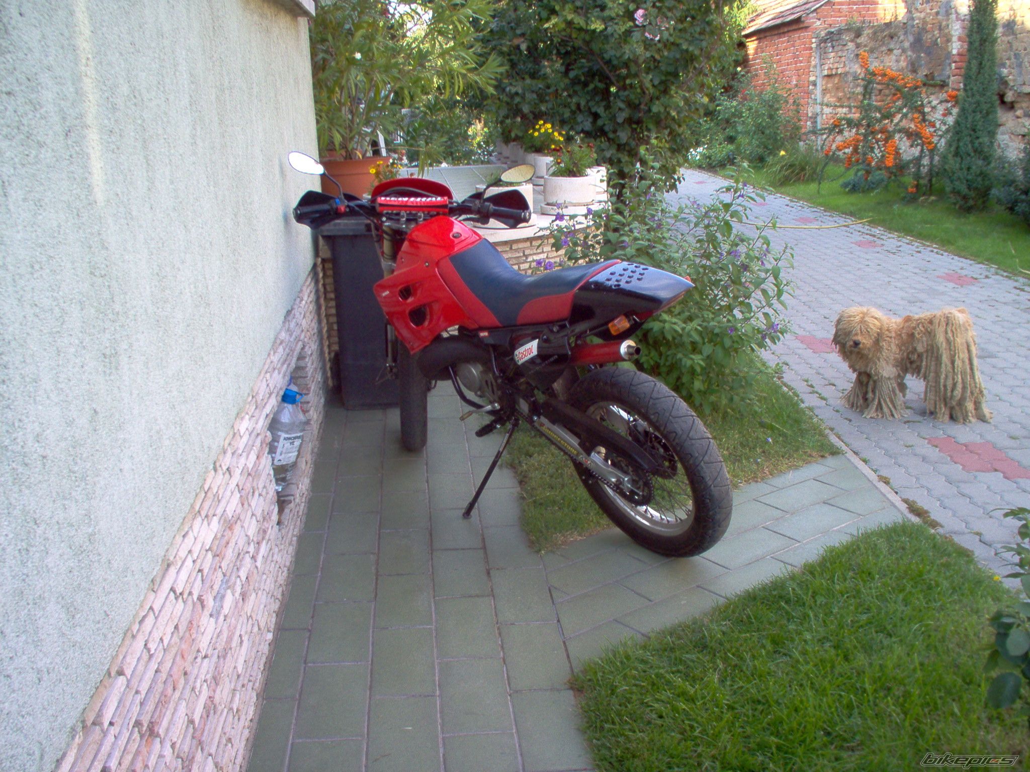 Photo 1056801