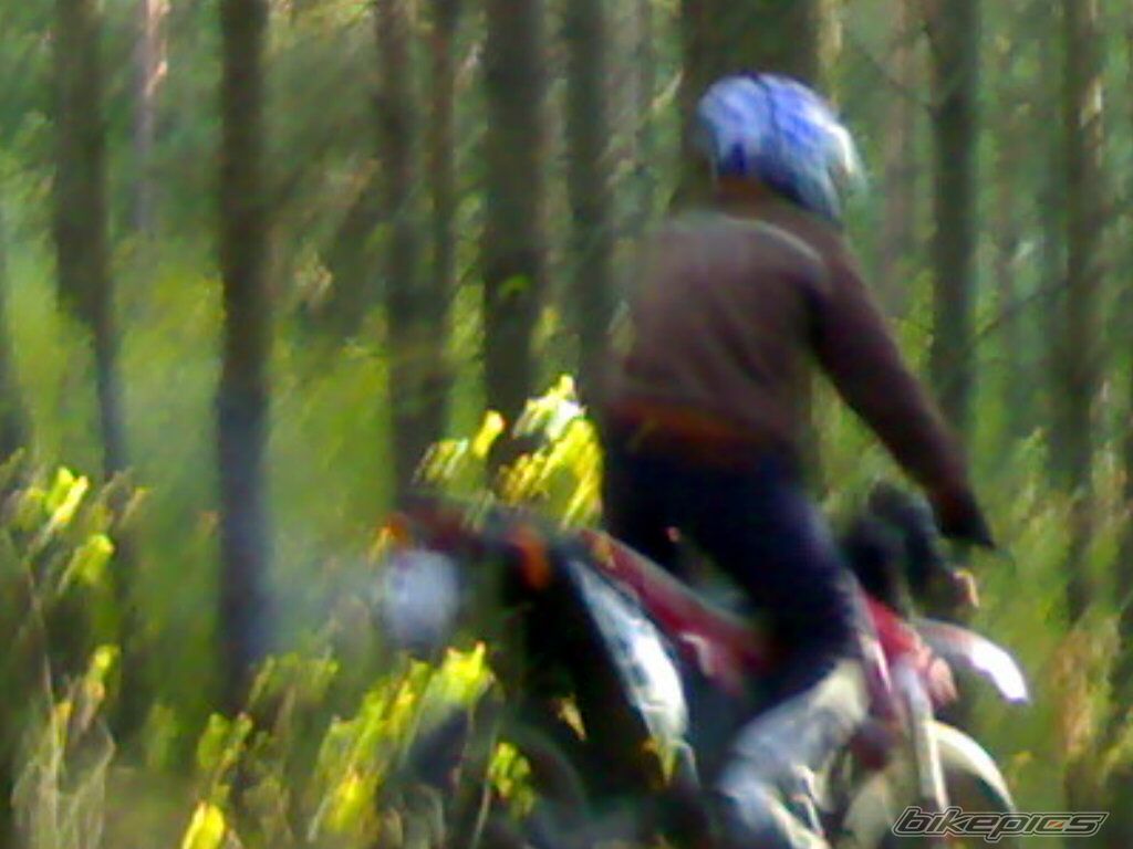Bike Photo 1056806