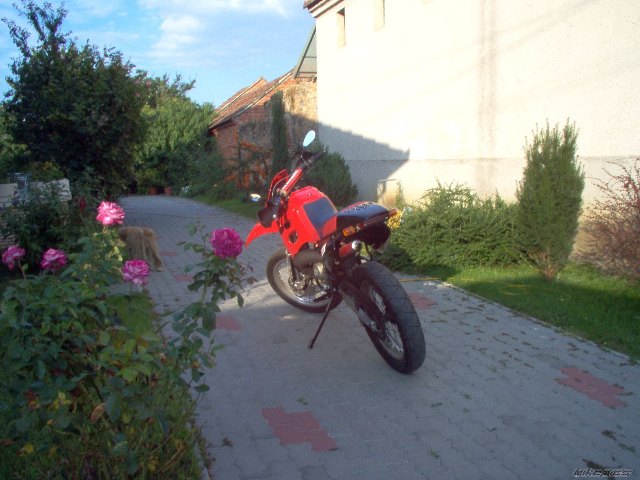 Bike Photo 1056811