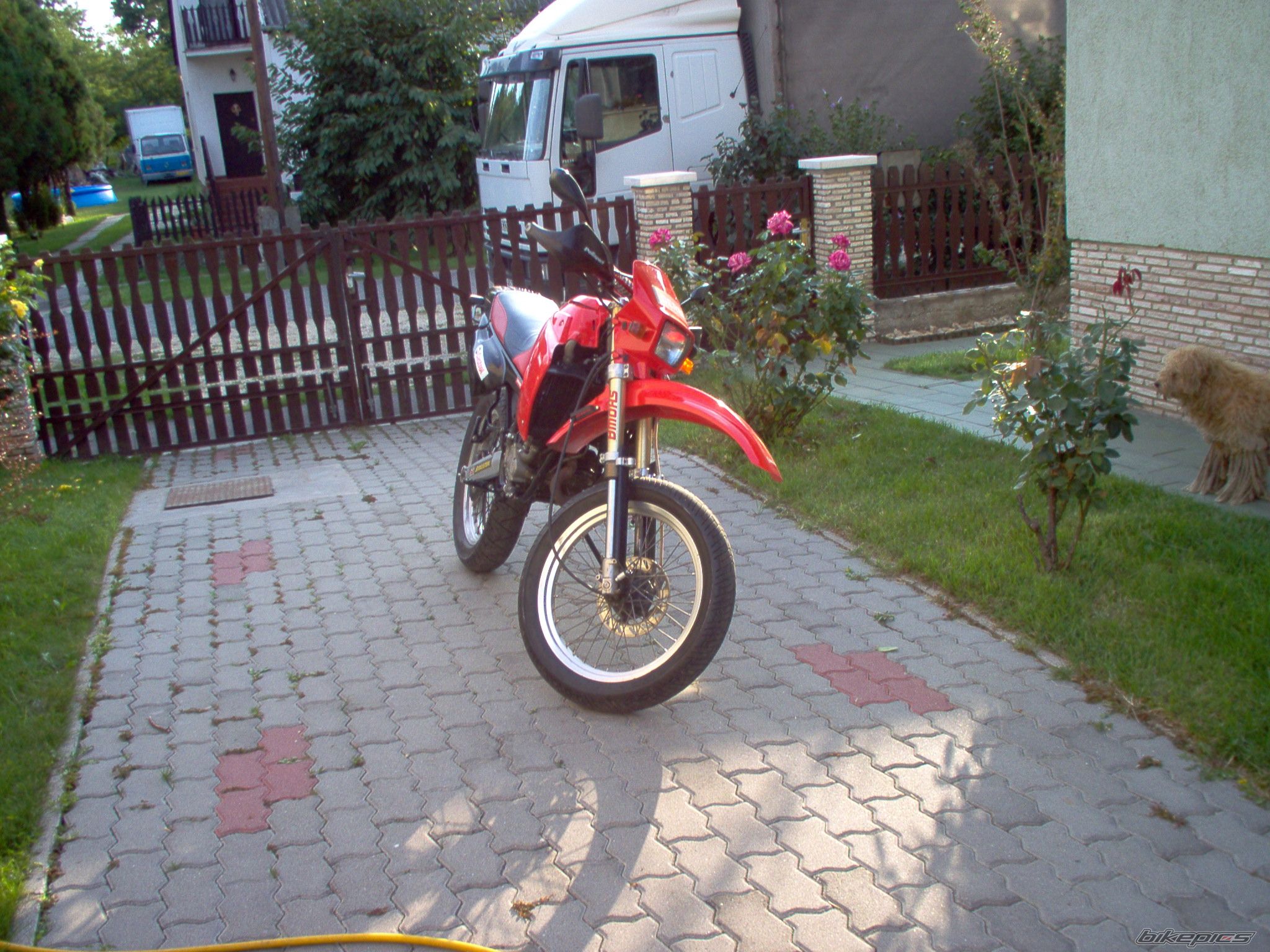 Bike Photo 1056822
