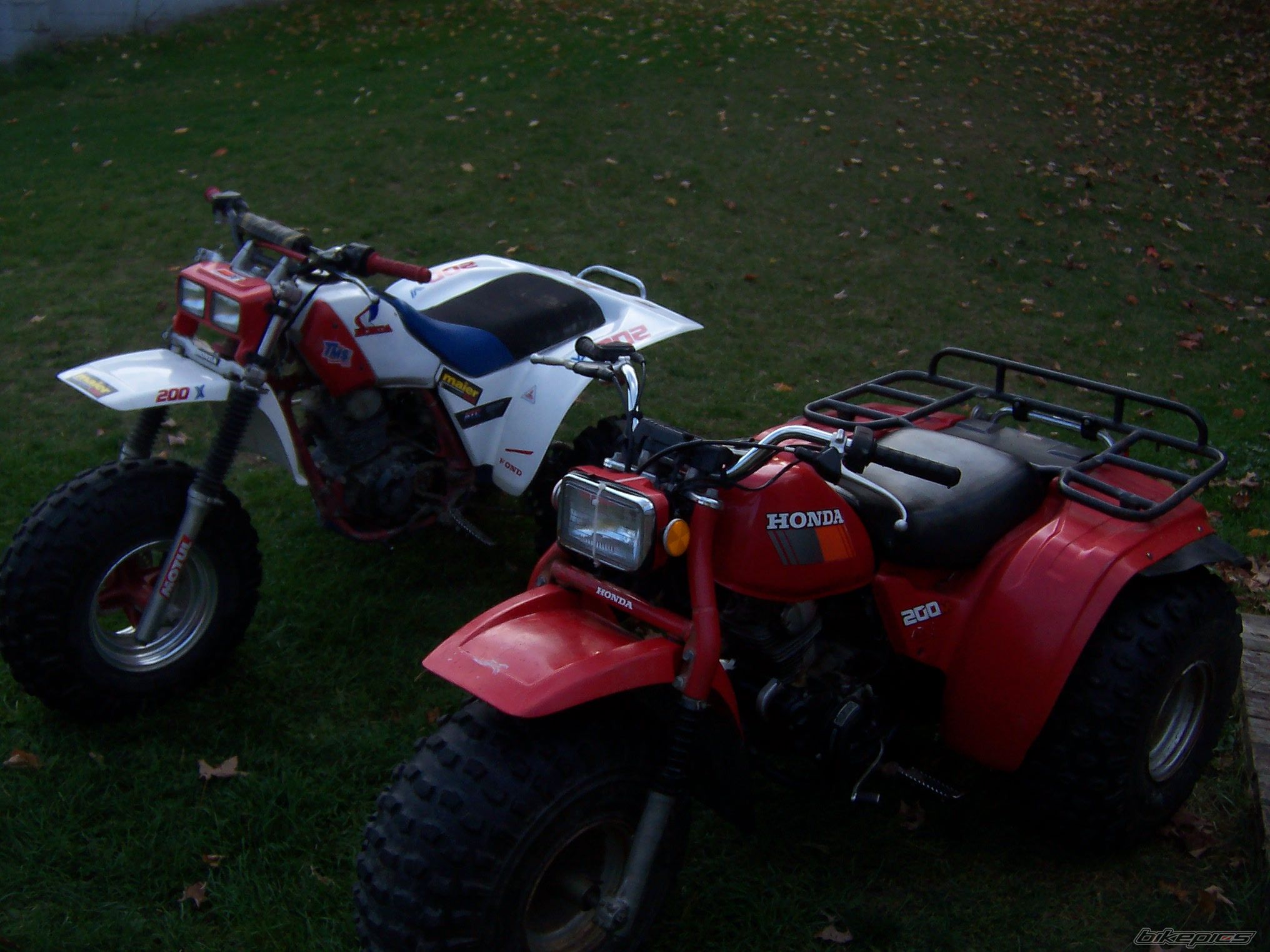 Photo 1057203