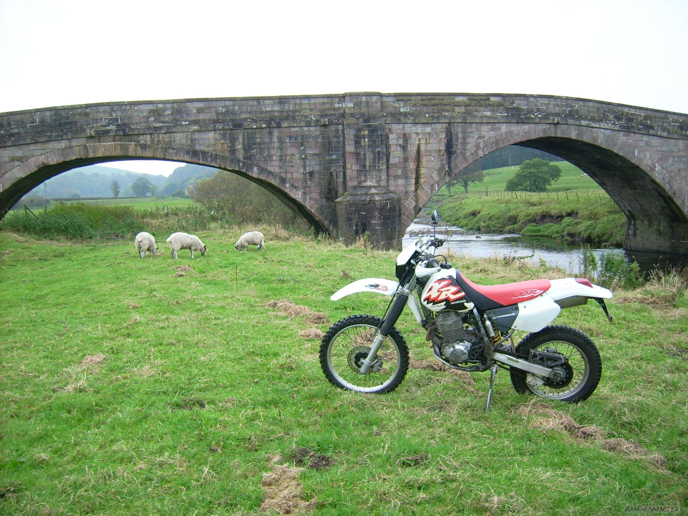 Bike Photo 1057227