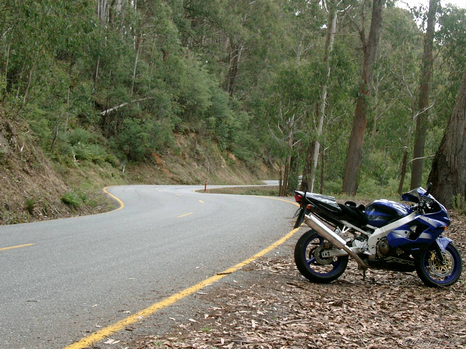 Bike Photo 105733