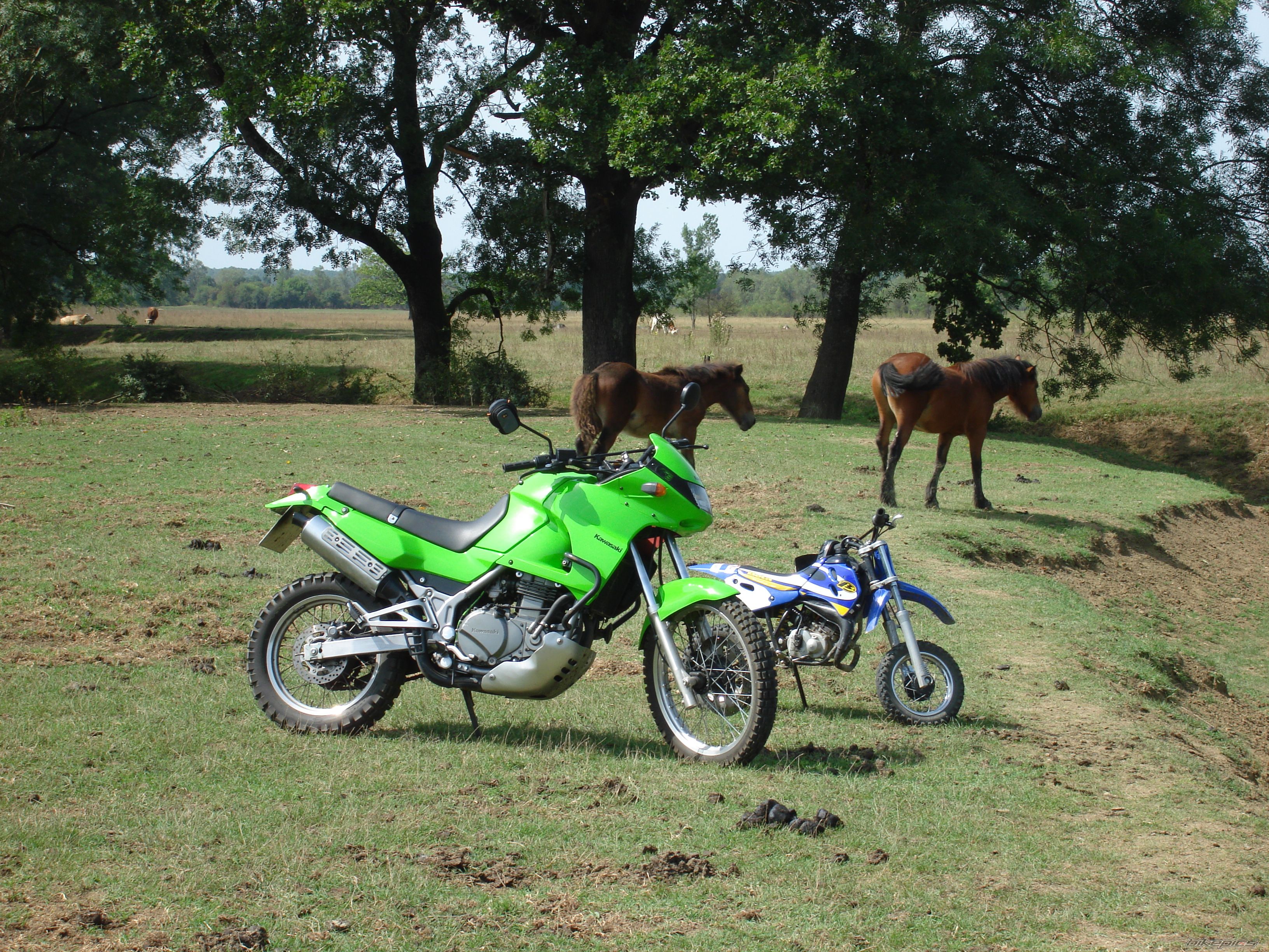 Bike Photo 1057342