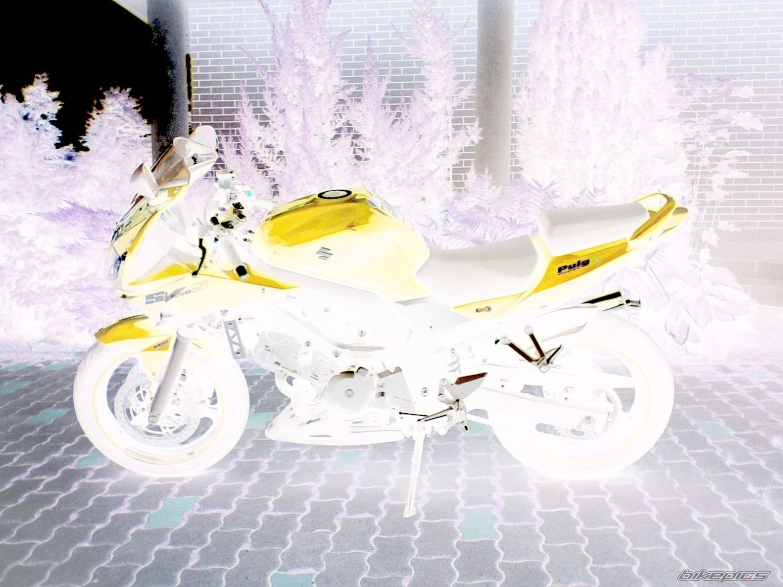 Bike Photo 1057413