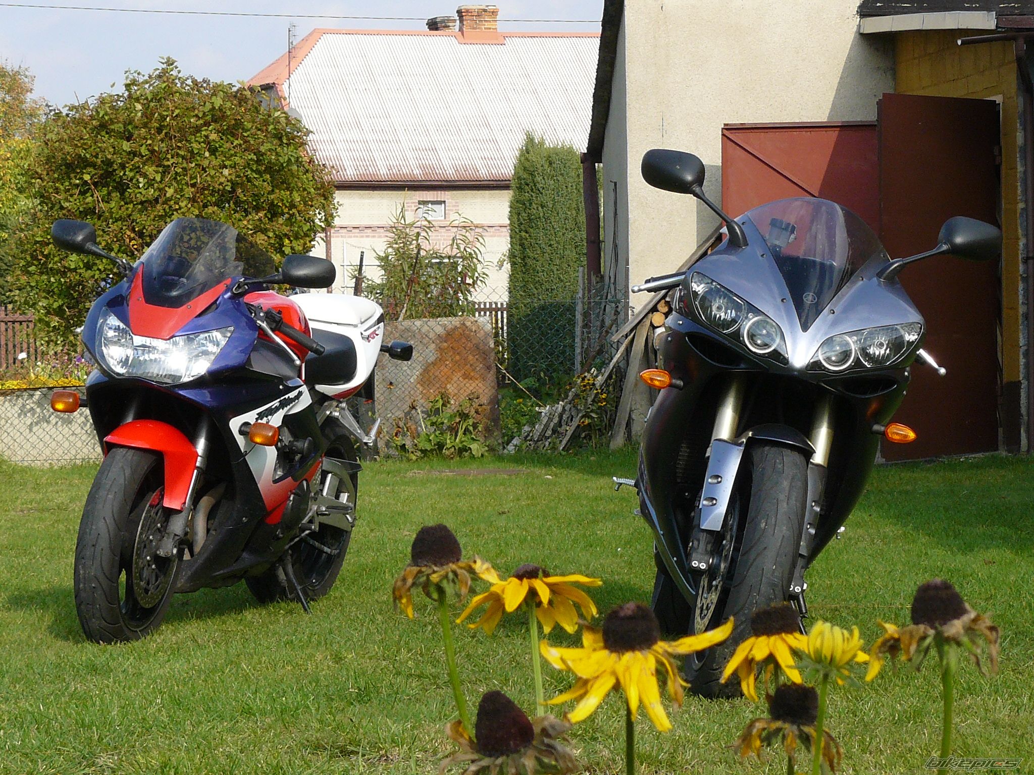 Photo 1058116