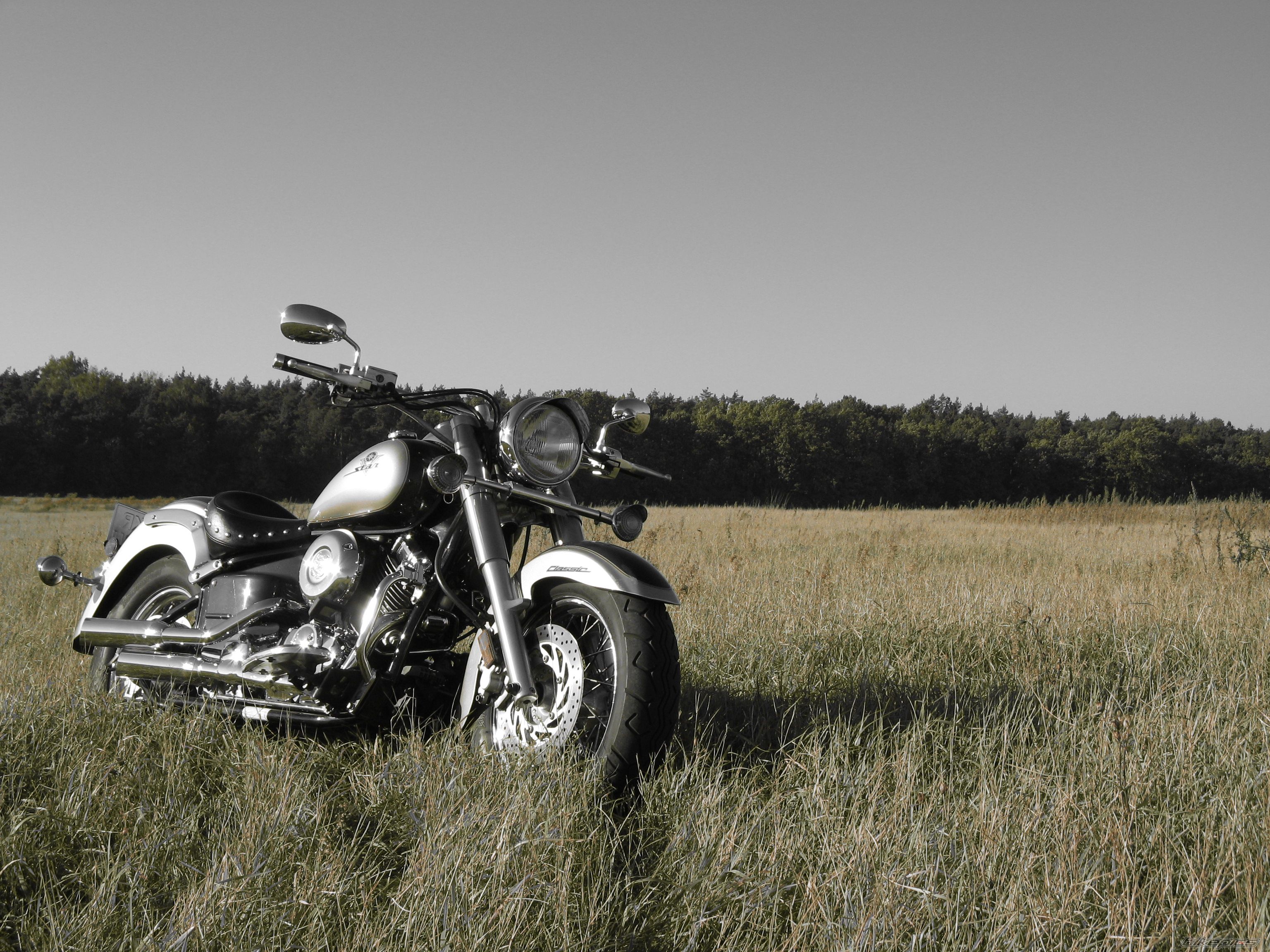 Bike Photo 1058190