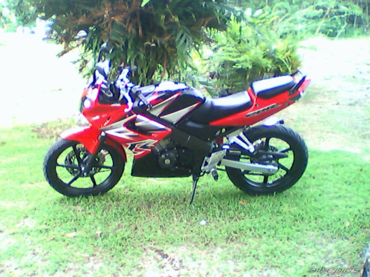 Bike Photo 1058229