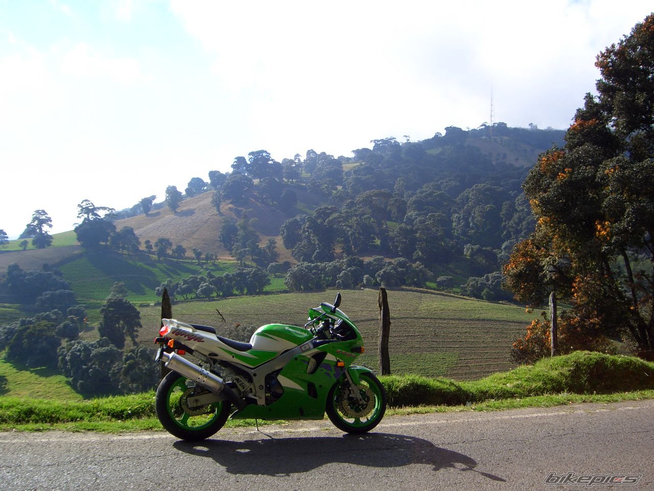 Photo 1058251