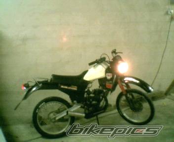 Photo 105861