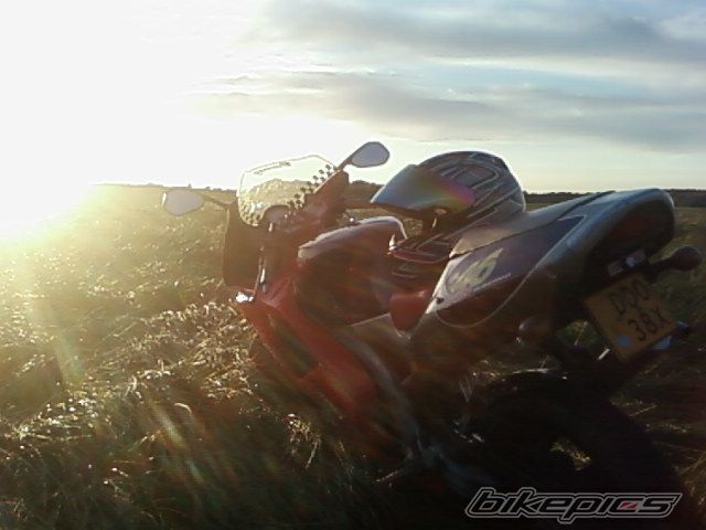 Photo 1058669