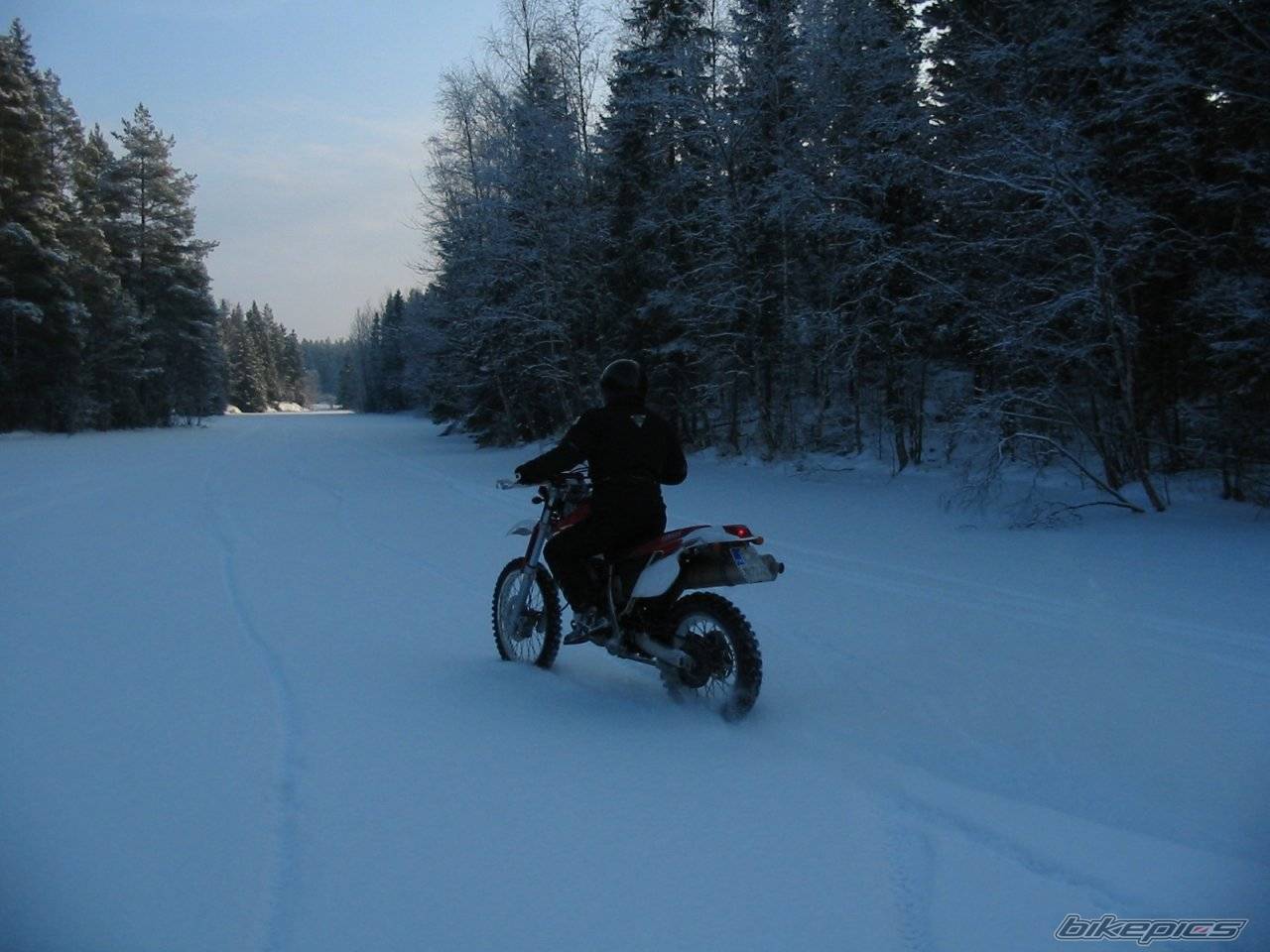 Photo 105876