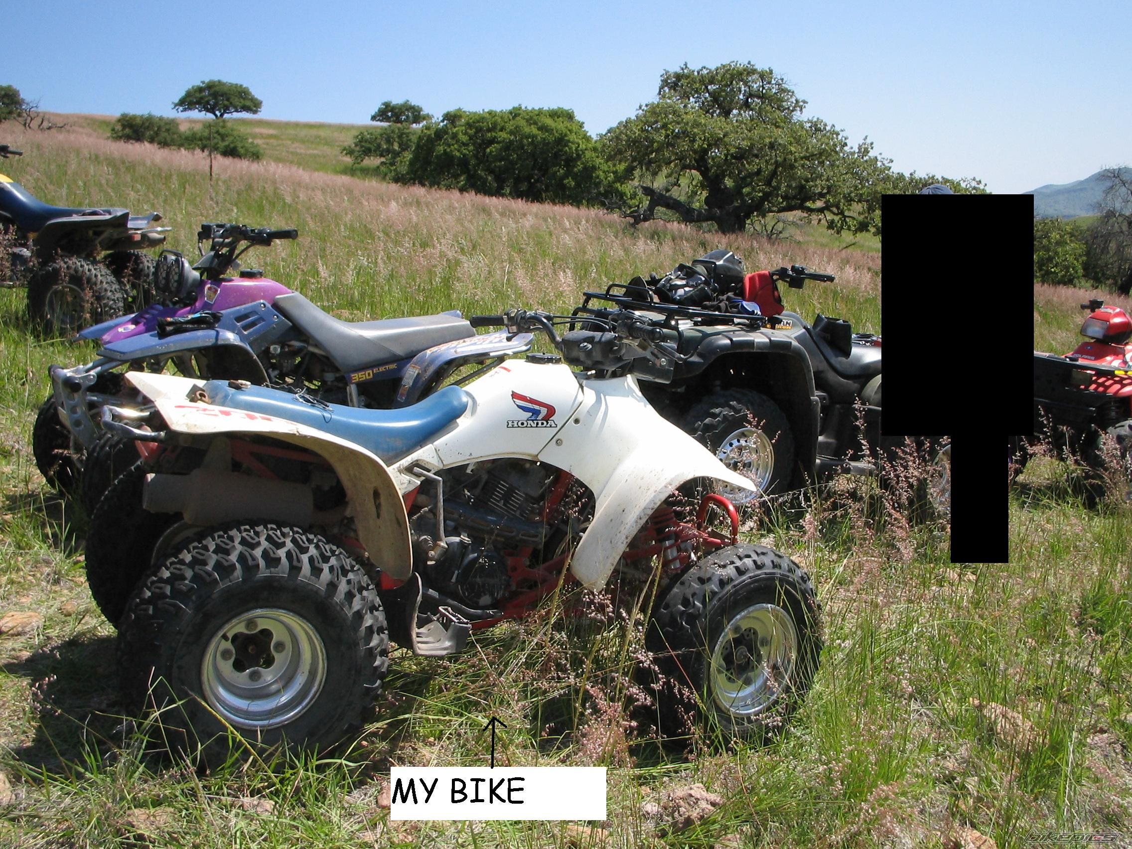 Photo 1059034