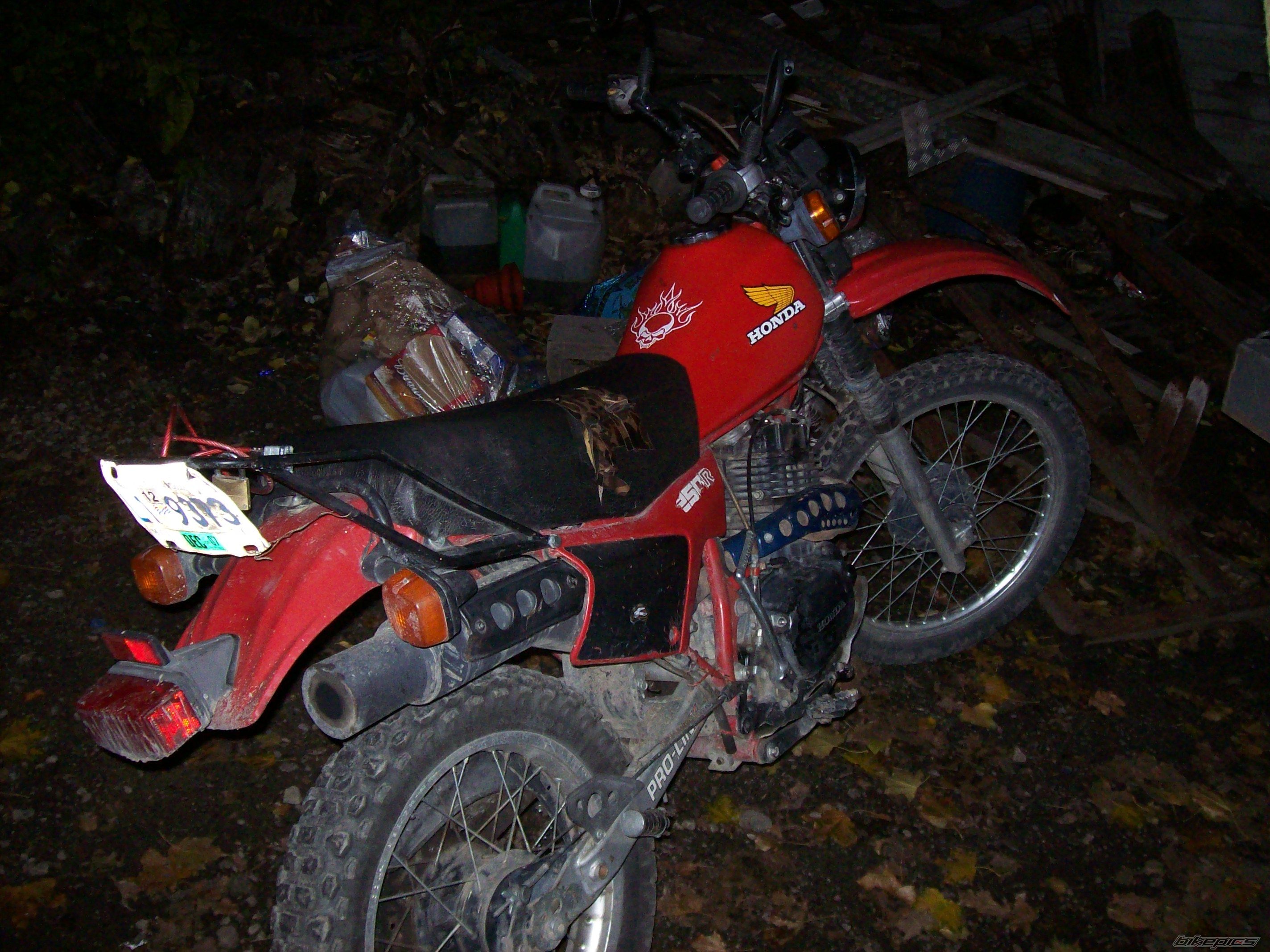 Photo 1059039