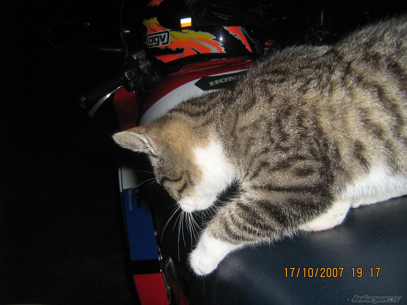 Photo 1059611