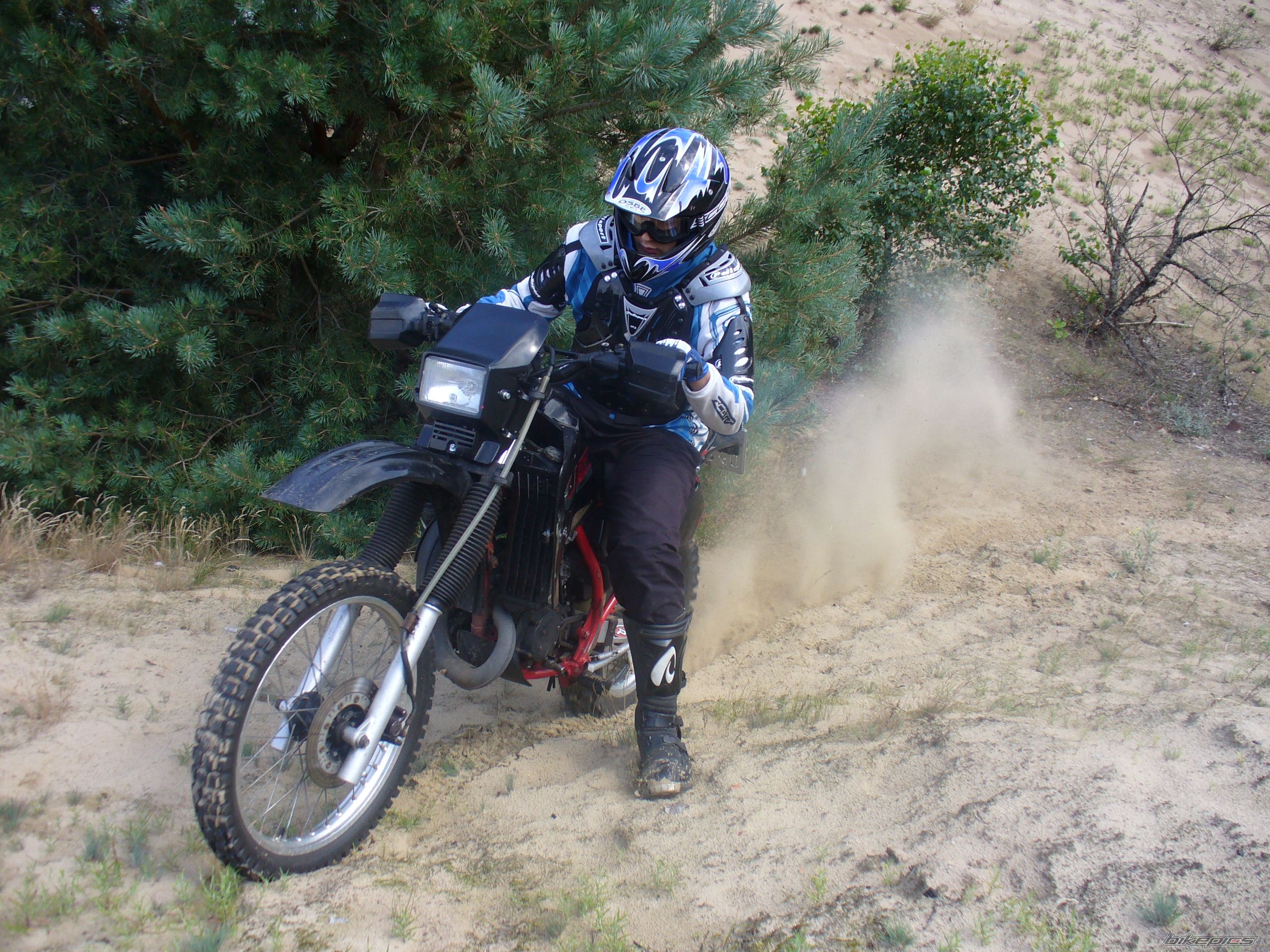 Photo 1060012