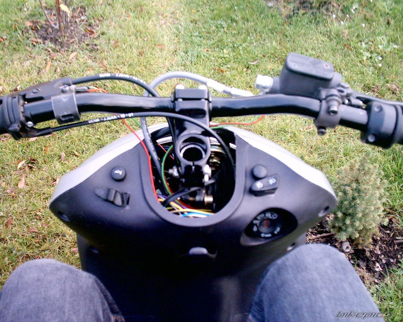 Photo 1060216