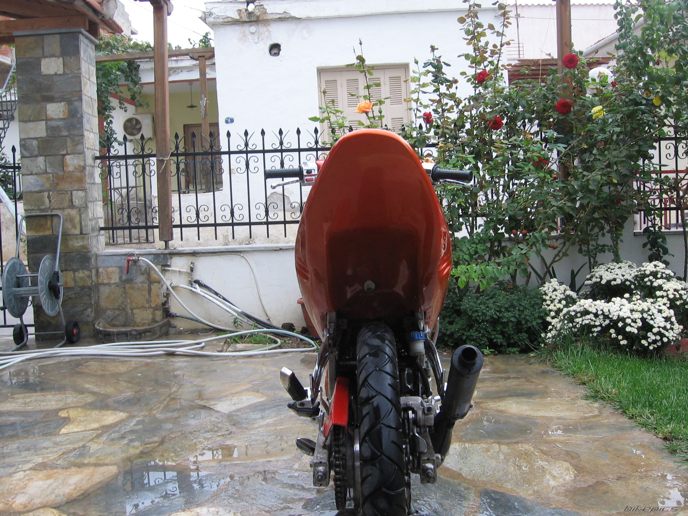 Photo 1060864