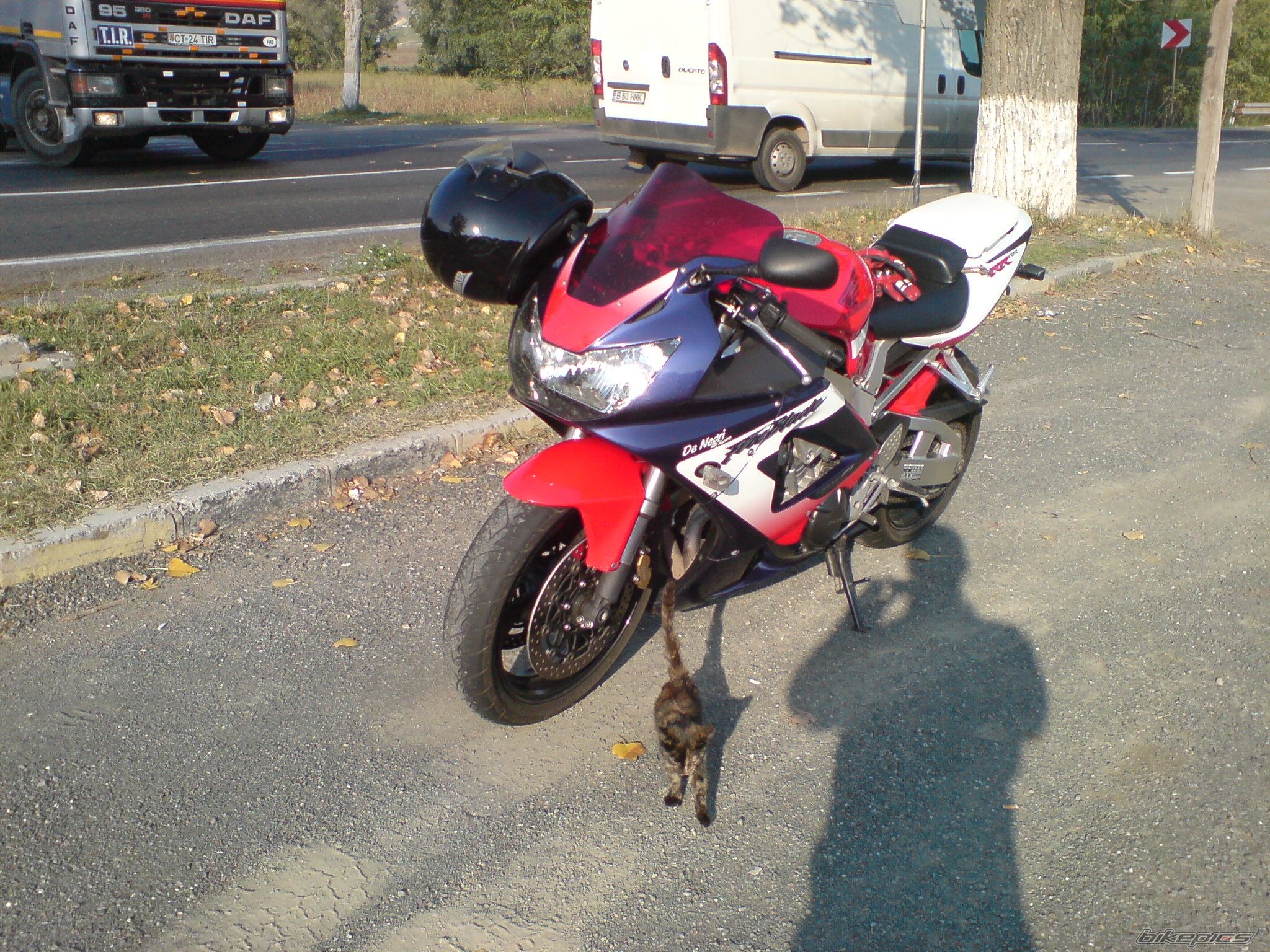 Photo 1060867