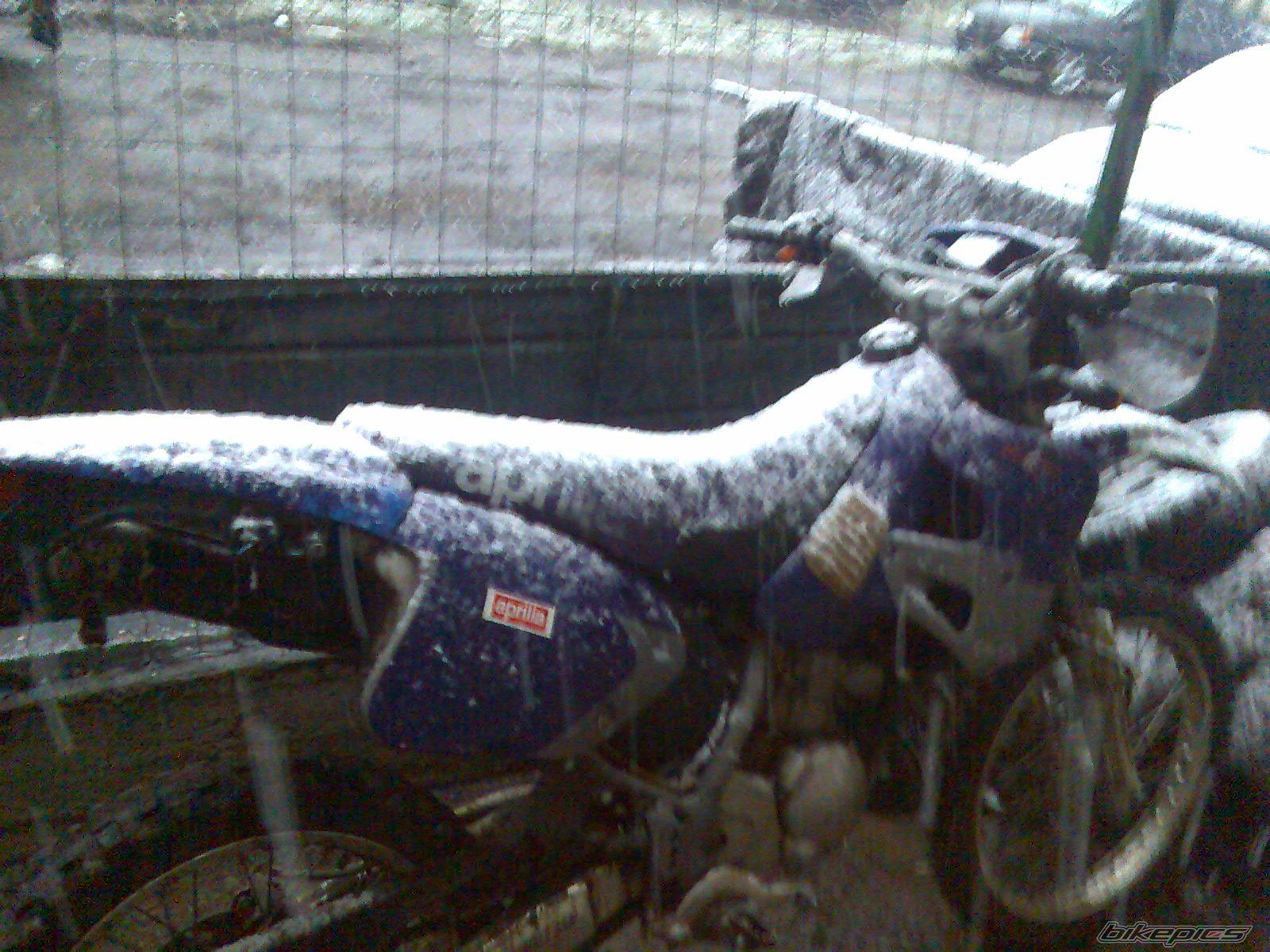 Bike Photo 1061184