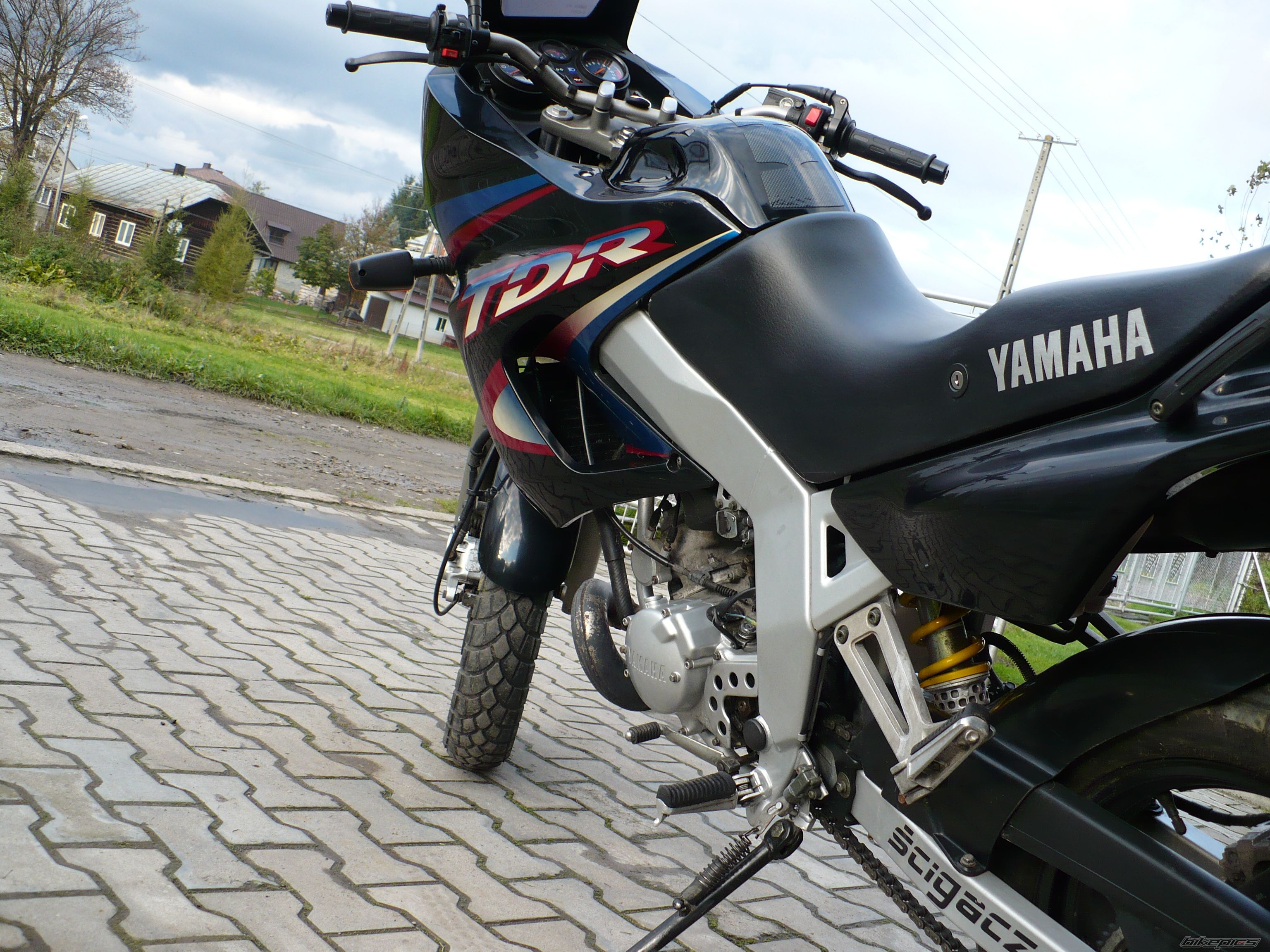 Photo 1061433
