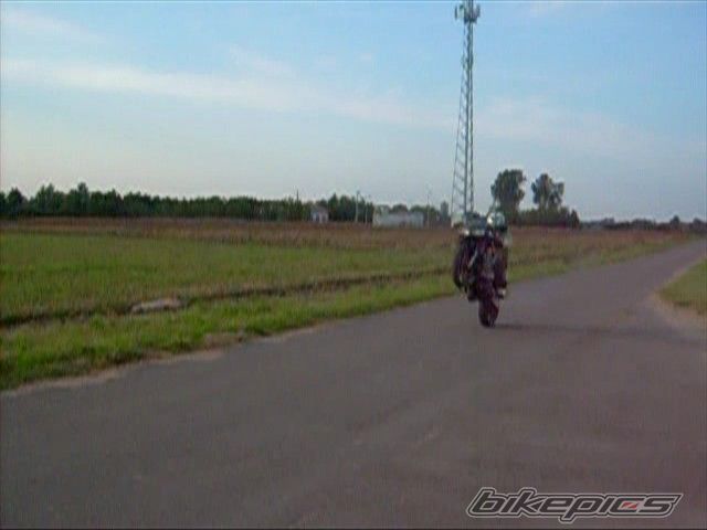 Photo 1061454