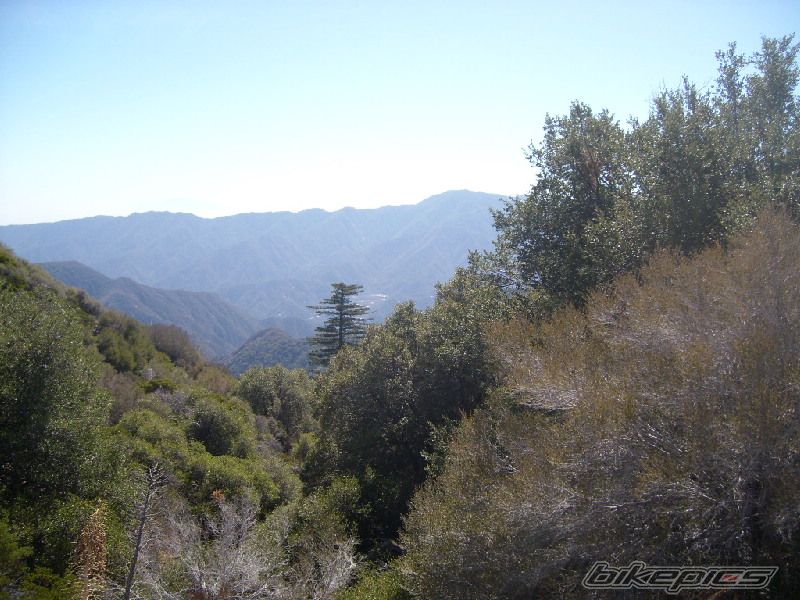 Photo 1061727