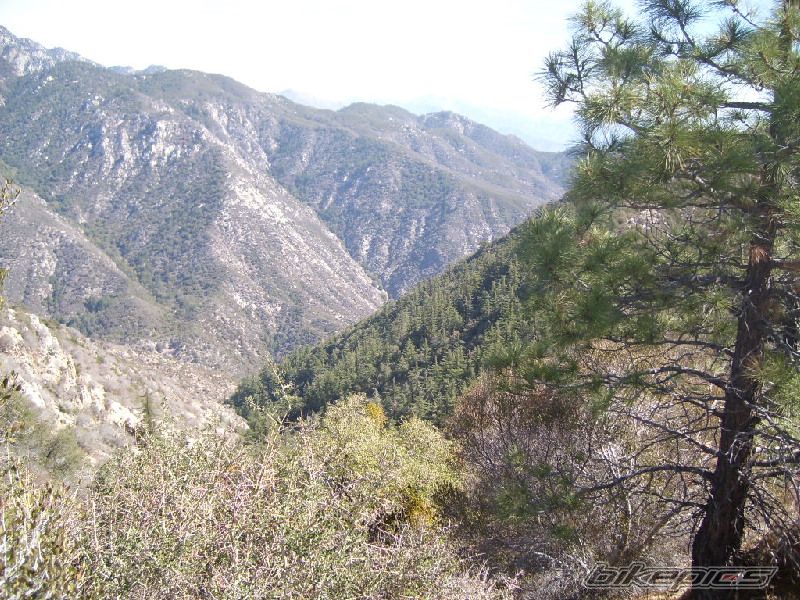 Photo 1061729