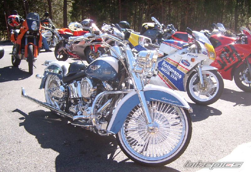 Photo 1061783