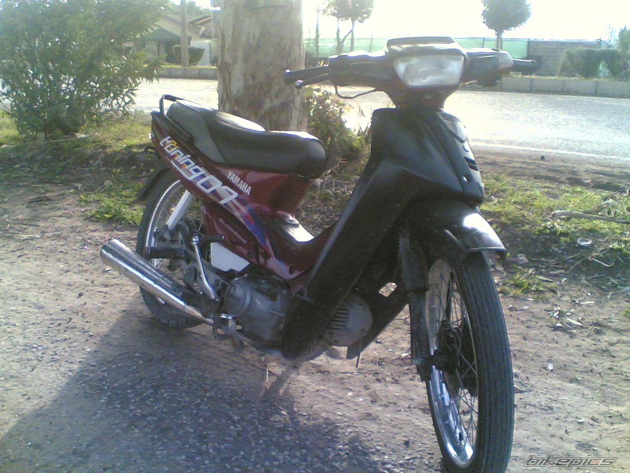Bike Photo 1061900