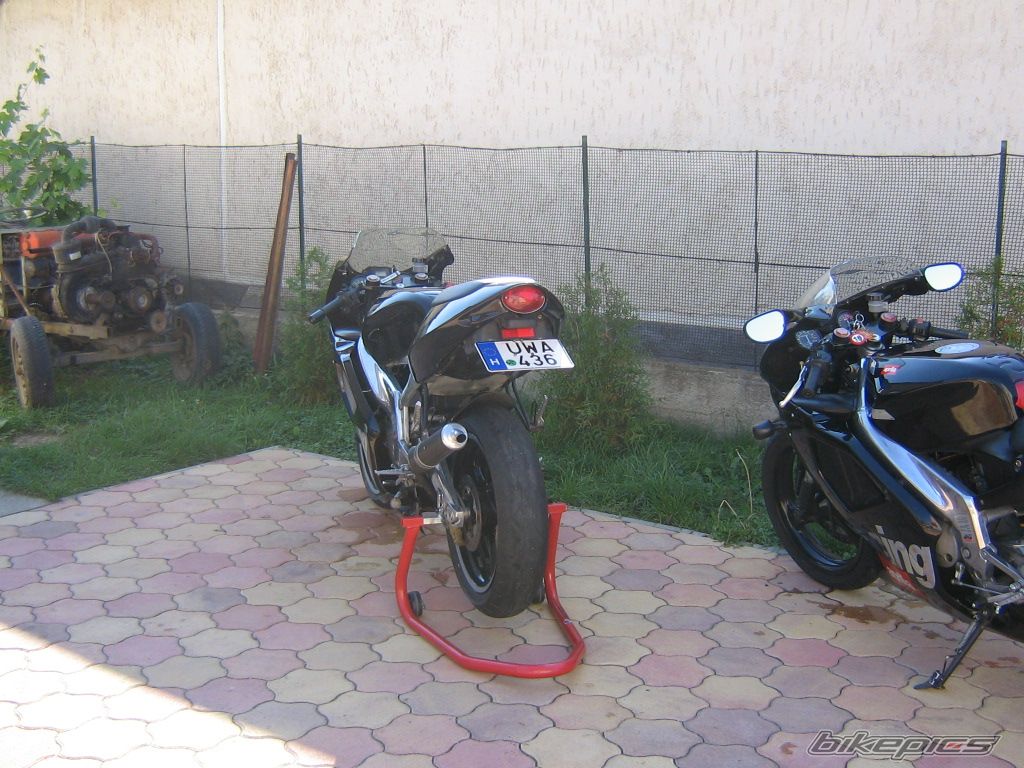 Photo 1061963