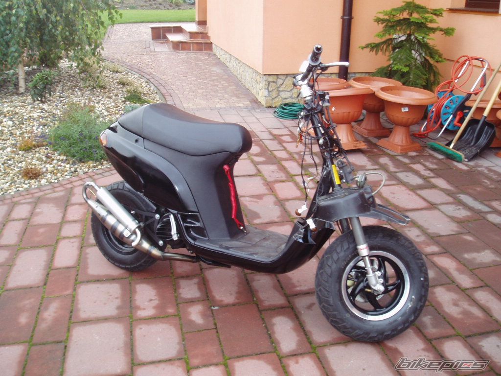 Photo 1061978