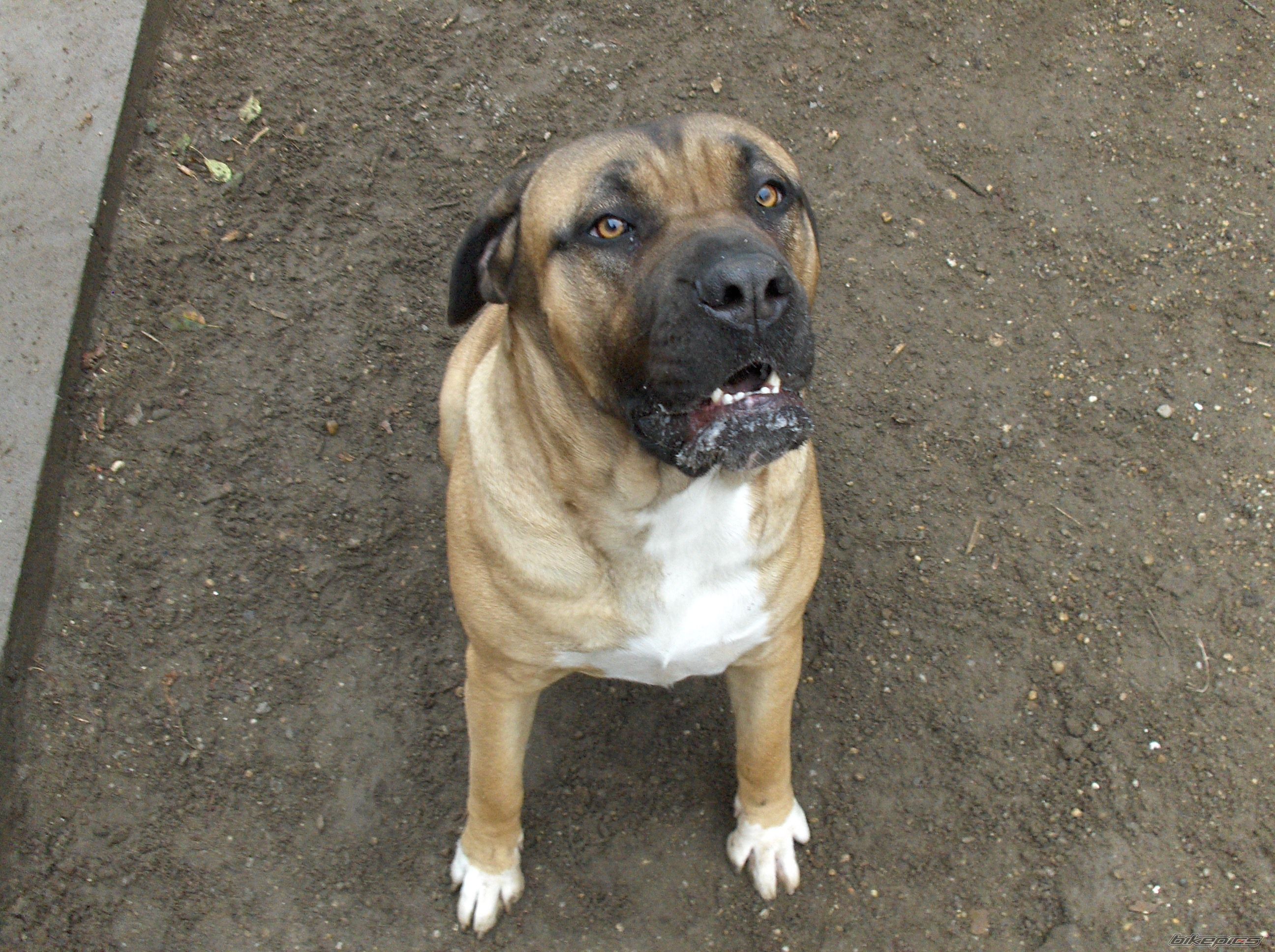 Photo 1062302